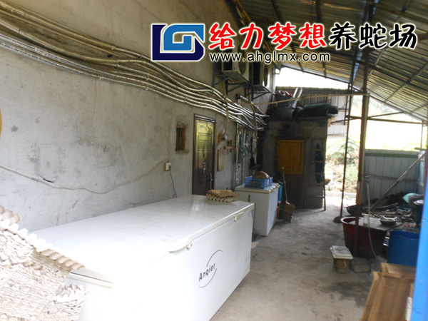 給力夢想養(yǎng)蛇場