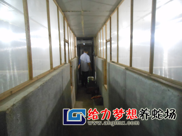 給力夢想養(yǎng)蛇場
